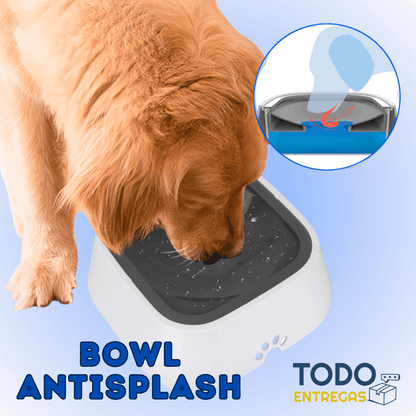 Bowl antisplash para tus mascotas🐾💧