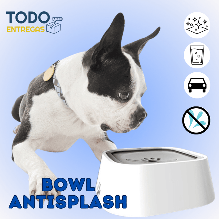 Bowl antisplash para tus mascotas🐾💧