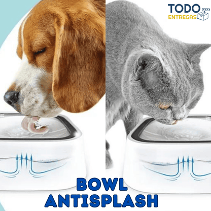 Bowl antisplash para tus mascotas🐾💧